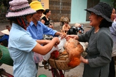 Chủ động ứng phó dịch cúm gia cầm Chủ động ứng phó dịch cúm gia cầm