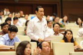 Nhiều đại biểu đồng tình về cơ chế đặc thù cho TP Hồ Chí Minh Nhiều đại biểu đồng tình về cơ chế đặc thù cho TP Hồ Chí Minh