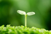 Thẩm mỹ cho tâm hồn Thẩm mỹ cho tâm hồn