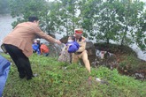 CSGT và những hành động đẹp ngày đầu năm CSGT và những hành động đẹp ngày đầu năm