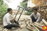 Cảnh sống khốn khó của đôi vợ chồng “tiều phu” ở miền sông nước Cảnh sống khốn khó của đôi vợ chồng “tiều phu” ở miền sông nước