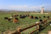 Vinamilk 3 năm liên tiếp đứng đầu bảng xếp hạng top 10 doanh nghiệp niêm yết uy tín năm 2017 Vinamilk 3 năm liên tiếp đứng đầu bảng xếp hạng top 10 doanh nghiệp niêm yết uy tín năm 2017