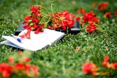 Ký ức tuổi thơ... Ký ức tuổi thơ...