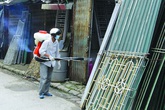 Hải Phòng yêu cầu dập dịch nhanh, không để tử vong do sốt xuất huyết Hải Phòng yêu cầu dập dịch nhanh, không để tử vong do sốt xuất huyết