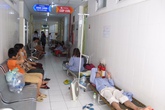 Hà Nội: Một phụ nữ 36 tuổi tử vong vì sốt xuất huyết Hà Nội: Một phụ nữ 36 tuổi tử vong vì sốt xuất huyết