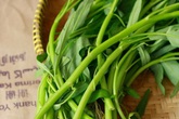 Cách trồng rau muống bằng cành lớn nhanh như thổi kịp đón mùa hè Cách trồng rau muống bằng cành lớn nhanh như thổi kịp đón mùa hè