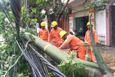 Tổng công ty Điện lực miền Bắc khắc phục hậu quả bão số 2 Tổng công ty Điện lực miền Bắc khắc phục hậu quả bão số 2
