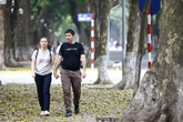 Ngỡ ngàng "thu tháng tư" trải vàng trên con phố đẹp nhất Hà Nội Ngỡ ngàng "thu tháng tư" trải vàng trên con phố đẹp nhất Hà Nội