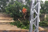 Tổng công ty Điện lực miền Bắc sẵn sàng ứng phó với bão số 2 Tổng công ty Điện lực miền Bắc sẵn sàng ứng phó với bão số 2