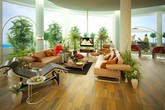Chọn và bố trí loại cây phù hợp với từng căn phòng để sức khỏe tốt nhất, nhà đẹp nhất Chọn và bố trí loại cây phù hợp với từng căn phòng để sức khỏe tốt nhất, nhà đẹp nhất