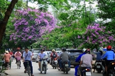 Hửng nắng một ngày, miền Bắc lại đón khí lạnh Hửng nắng một ngày, miền Bắc lại đón khí lạnh