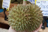 Xuất hiện loại sầu riêng "đắt cắt cổ" vẫn không có để mua Xuất hiện loại sầu riêng "đắt cắt cổ" vẫn không có để mua