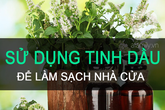 Bất ngờ với một lợi ích khác của tinh dầu, đó chính là làm sạch nhà siêu nhanh Bất ngờ với một lợi ích khác của tinh dầu, đó chính là làm sạch nhà siêu nhanh