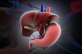 Nóng gan, chớ xem thường Nóng gan, chớ xem thường