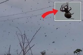 Có thể bạn chưa biết 5 hiện tượng kỳ quái đến nay vẫn "thách thức" khoa học Có thể bạn chưa biết 5 hiện tượng kỳ quái đến nay vẫn "thách thức" khoa học