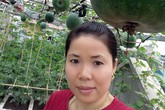 Mẹ đảm 8x bày cách trồng bí dưa hấu tròn lẳn trong thùng xốp nặng "sập giàn" Mẹ đảm 8x bày cách trồng bí dưa hấu tròn lẳn trong thùng xốp nặng "sập giàn"
