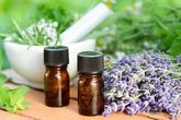 Mẹo đơn giản đuổi sạch muỗi không cần thuốc xịt Mẹo đơn giản đuổi sạch muỗi không cần thuốc xịt