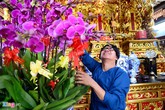 Nhà thờ Tổ của Hoài Linh được trang trí đón Tết Đinh Dậu Nhà thờ Tổ của Hoài Linh được trang trí đón Tết Đinh Dậu