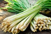 Đồ thừa trong nhà bếp mà cũng có những công dụng "tống cổ" gián, muỗi đến bất ngờ Đồ thừa trong nhà bếp mà cũng có những công dụng "tống cổ" gián, muỗi đến bất ngờ