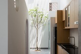 Căn nhà 2 tầng xây đơn giản nhưng thoáng và ngập tràn sắc xanh ở Sài Gòn Căn nhà 2 tầng xây đơn giản nhưng thoáng và ngập tràn sắc xanh ở Sài Gòn