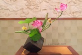 Bày cách căm bình hoa đẹp cho mùa sen tháng 5 Bày cách căm bình hoa đẹp cho mùa sen tháng 5