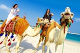 Thú ăn chơi của hội con nhà giàu Trung Quốc Thú ăn chơi của hội con nhà giàu Trung Quốc