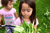 Bà mẹ Việt kiều Canada trồng cả 'rừng' rau, quả ở nơi có thời tiết khắc nghiệt Bà mẹ Việt kiều Canada trồng cả 'rừng' rau, quả ở nơi có thời tiết khắc nghiệt