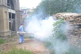 Dịch sốt xuất huyết ở Hà Nội: Có tình trạng giả danh cán bộ đi phun thuốc diệt muỗi Dịch sốt xuất huyết ở Hà Nội: Có tình trạng giả danh cán bộ đi phun thuốc diệt muỗi