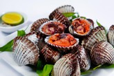 Sò huyết rất tốt, nhưng khi ăn nhất định phải biết điều này Sò huyết rất tốt, nhưng khi ăn nhất định phải biết điều này