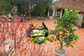 Ăn Tết quê chồng (5): Con cái không về, có còn chữ Hiếu? Ăn Tết quê chồng (5): Con cái không về, có còn chữ Hiếu?