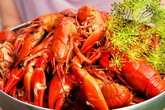 Tôm hùm cấm nuôi ở Việt Nam bị biến thành đặc sản Tôm hùm cấm nuôi ở Việt Nam bị biến thành đặc sản
