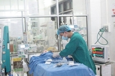 Bé trai 3 tuổi ở Hải Phòng tử vong nghi bị chó mèo trong nhà cắn Bé trai 3 tuổi ở Hải Phòng tử vong nghi bị chó mèo trong nhà cắn