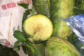 Đừng ác độc với con trẻ Đừng ác độc với con trẻ