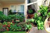 Vườn rau mini đáng ngưỡng mộ của nữ du học sinh Y khoa ở nơi "đất khách quê người" Vườn rau mini đáng ngưỡng mộ của nữ du học sinh Y khoa ở nơi "đất khách quê người"