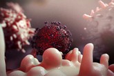 Phát hiện thuốc ngăn virus HIV sinh sản trong tế bào Phát hiện thuốc ngăn virus HIV sinh sản trong tế bào