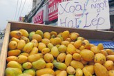 Sài Gòn: Xoài mút Trung Quốc lại đội lốt xoài Châu Đốc tràn chợ Sài Gòn: Xoài mút Trung Quốc lại đội lốt xoài Châu Đốc tràn chợ