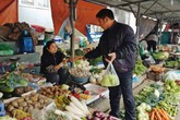 Rau xanh tăng giá từng ngày vì rét Rau xanh tăng giá từng ngày vì rét