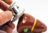 Những người dễ bị mệt mỏi là do gan không khỏe: Đây là những điều bạn nên làm để "cứu" gan Những người dễ bị mệt mỏi là do gan không khỏe: Đây là những điều bạn nên làm để "cứu" gan