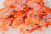 Hải sản tuy ngon nhưng những phần này không nên ăn: Bạn nên biết trước khi ăn Hải sản tuy ngon nhưng những phần này không nên ăn: Bạn nên biết trước khi ăn