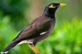 Thâm cung bí sử (157 - 1): Gặp gỡ tình cờ Thâm cung bí sử (157 - 1): Gặp gỡ tình cờ