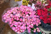 30 phút và 1.000 ngàn bông hồng: 1 kỷ lục minh chứng cho tình yêu 30 phút và 1.000 ngàn bông hồng: 1 kỷ lục minh chứng cho tình yêu