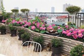 Chuyển hàng tấn đất làm ao sen, trồng hồng trên sân thượng, mẹ HN xây "thiên đường" phủ kín hoa Chuyển hàng tấn đất làm ao sen, trồng hồng trên sân thượng, mẹ HN xây "thiên đường" phủ kín hoa