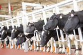Tập đoàn TH được vinh danh ở ba hạng mục quan trọng tại Giải thưởng Kinh doanh Quốc tế 2018 Tập đoàn TH được vinh danh ở ba hạng mục quan trọng tại Giải thưởng Kinh doanh Quốc tế 2018