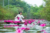 Suối Yến nở rộ dịch vụ chụp ảnh mùa hoa súng nở Suối Yến nở rộ dịch vụ chụp ảnh mùa hoa súng nở