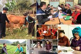 Mục tiêu cơ bản của các dự án thành phần thuộc Chương trình mục tiêu DS-YT giai đoạn 2016-2020 Mục tiêu cơ bản của các dự án thành phần thuộc Chương trình mục tiêu DS-YT giai đoạn 2016-2020