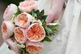 Ngắm bông hồng mang tên nàng Juliet ai cũng mê mẩn vì đẹp, nhưng bán 1 căn biệt thự chưa chắc mua được 1 bông Ngắm bông hồng mang tên nàng Juliet ai cũng mê mẩn vì đẹp, nhưng bán 1 căn biệt thự chưa chắc mua được 1 bông