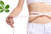 Mách chị em cách giảm cân hiệu quả bất ngờ từ thảo dược thiên nhiên Mách chị em cách giảm cân hiệu quả bất ngờ từ thảo dược thiên nhiên