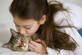 Nuôi mèo có thể khiến bạn rối loạn thần kinh Nuôi mèo có thể khiến bạn rối loạn thần kinh