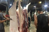 Đầu tháng giá thịt lợn hơi giảm trên diện rộng Đầu tháng giá thịt lợn hơi giảm trên diện rộng