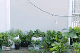 Với thiết kế tường vườn này, bạn sẽ nhanh chóng có được khu vườn đẹp như mơ ngay ban công chật hẹp Với thiết kế tường vườn này, bạn sẽ nhanh chóng có được khu vườn đẹp như mơ ngay ban công chật hẹp